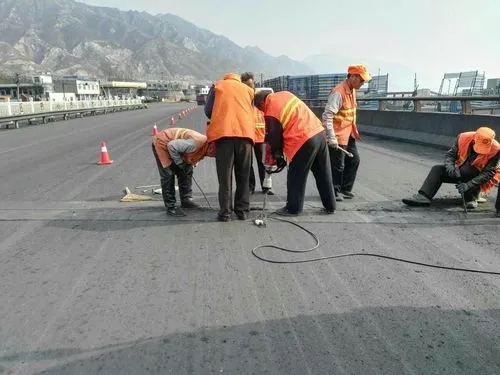 陈场镇道路桥梁病害治理